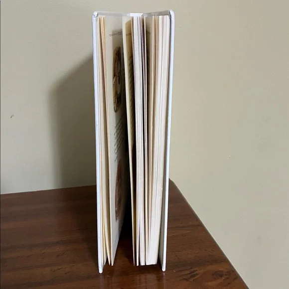 GREAT BIG TREASURY OF BEATRIX POTTER / Vintage 1992 & Plush - Picture 13 of 16